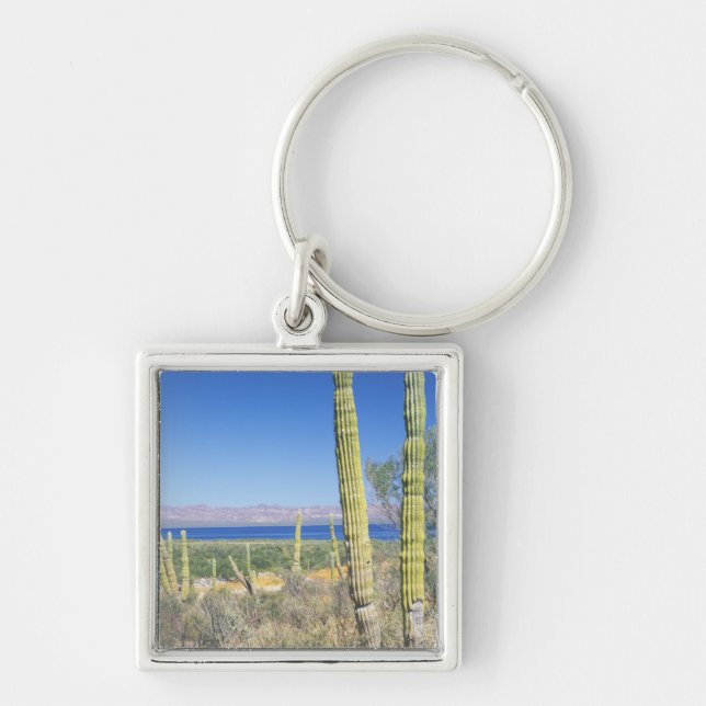 Chaveiro México, Baja California Sur, Mulege, Bahia (Frente)