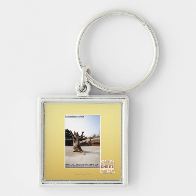 Chaveiro Mim patas do shaolin do iz da fúria (Frente)