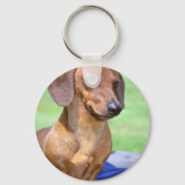 Chaveiro Minature Smooth Dachshund (Frente)