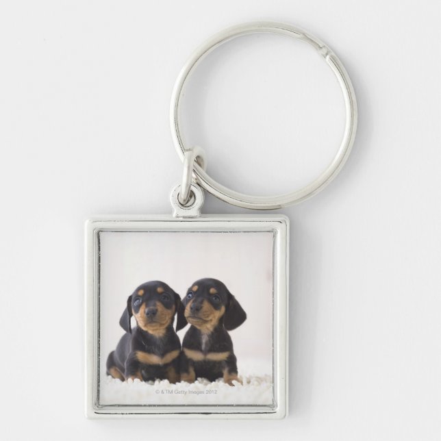 Chaveiro Mini assento do Dachshund dois (Frente)