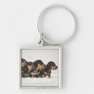 Chaveiro Mini Dachshund quatro