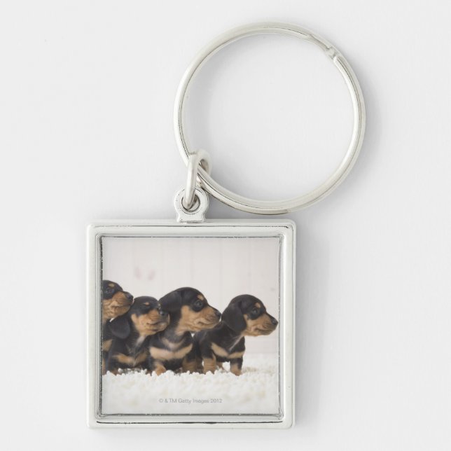 Chaveiro Mini Dachshund quatro (Frente)