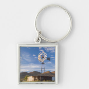 Chaveiro Moinho de Vento e Barragem no Karoo ao Nascer do S