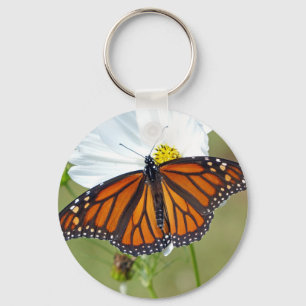 Chaveiro Monarca no Cosmos