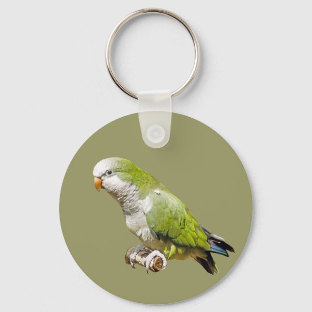 Chaveiro Monk Parakeet (Frente)