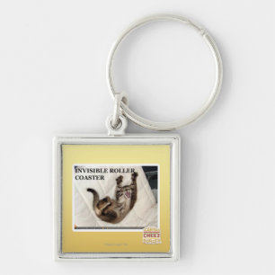 Chaveiro Montanha russa invisível