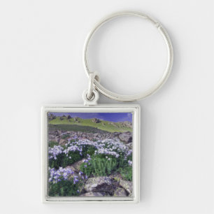 Chaveiro Montanhas e flores silvestres em prado alpino,