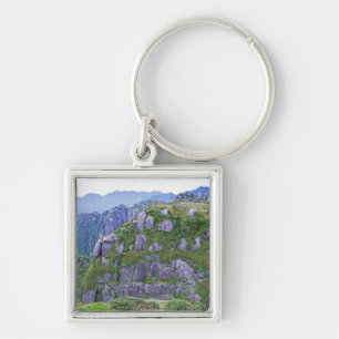 Chaveiro Monte Nagata, Yakushima, Kagoshima, Japão