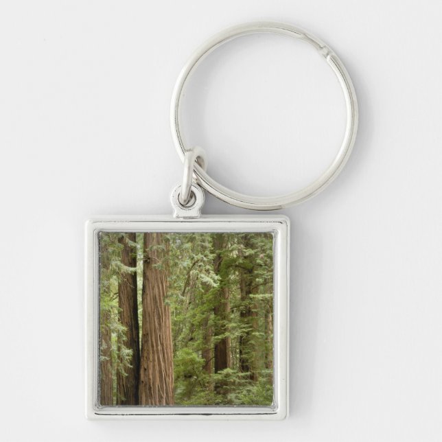Chaveiro Monumento Nacional Muir Woods, Norte (Frente)