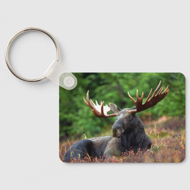 Chaveiro Moose (Verso)
