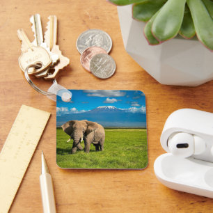 Chaveiro Mountains   Mount Kilimanjaro Tanzania, Africa