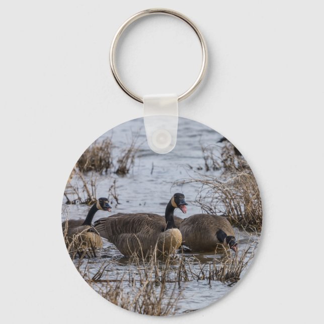 Chaveiro Movendo-se para Dentro (Frente)