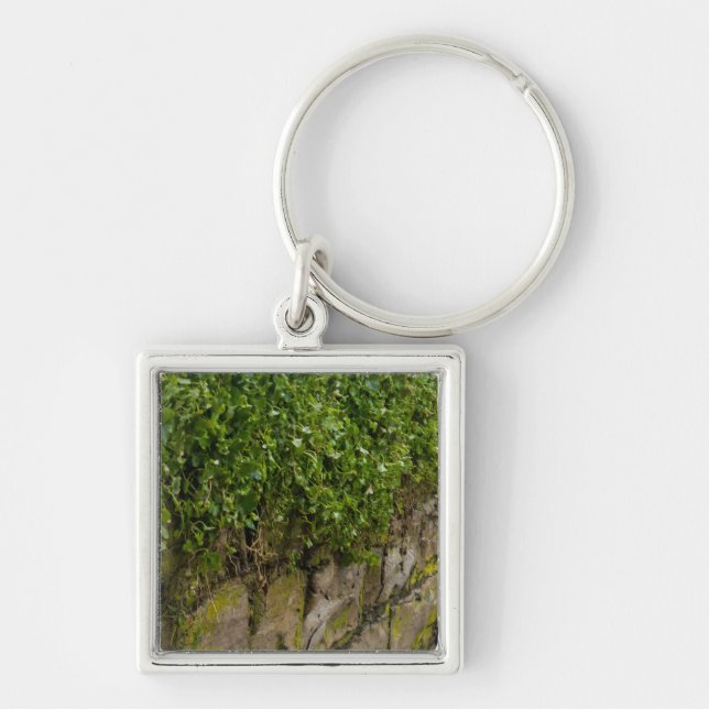 Chaveiro Muro De Ivy (Frente)