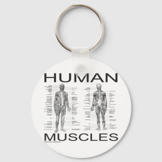 Chaveiro Músculos e Anatomia Humanos
