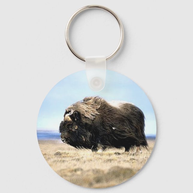 Chaveiro Musk Oxen (Frente)