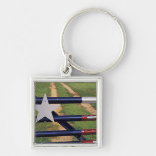 Chaveiro N.A., EUA, Texas, Lago Buchanan, bandeira do Texas