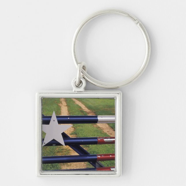 Chaveiro N.A., EUA, Texas, Lago Buchanan, bandeira do Texas (Frente)