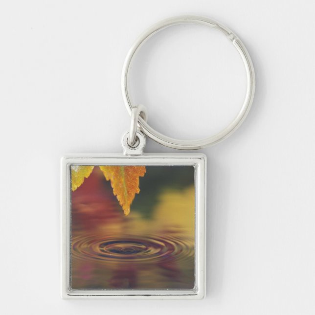 Chaveiro NA, EUA, Pacífico Noroeste (Frente)