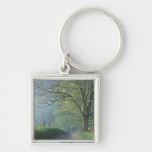 Chaveiro NA, EUA, Tennessee, Cades Cove, Great Smoky