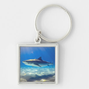 Chaveiro Nadação de tubarão Oceano Azul Água