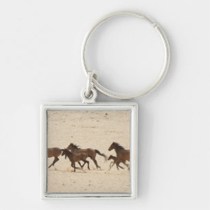 Chaveiro Namíbia, Aus. Grupo de cavalos selvagens correndo 
