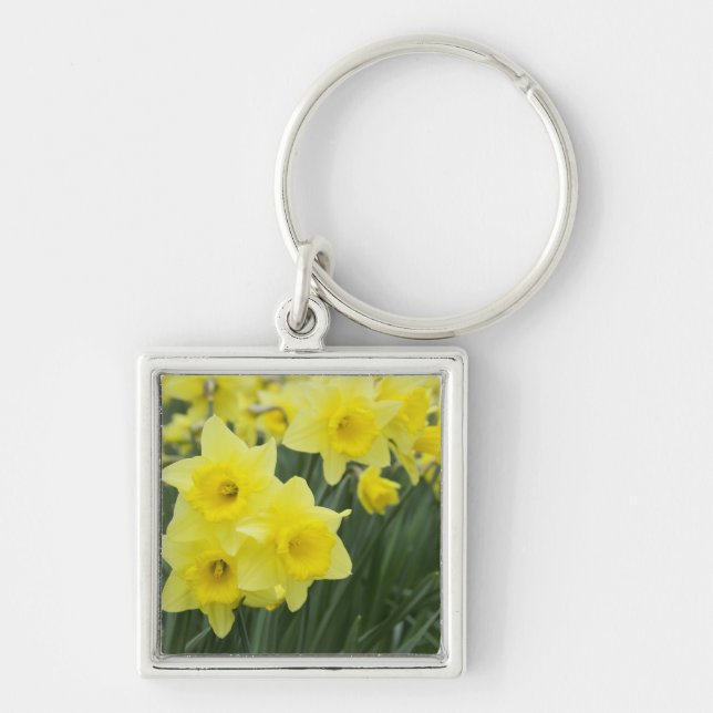 Chaveiro Narcisos RF) (Frente)