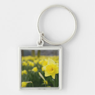 Chaveiro Narcisos (RF)