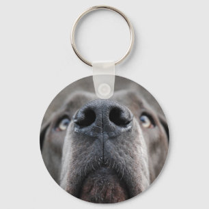 Chaveiro Nariz de Dogue