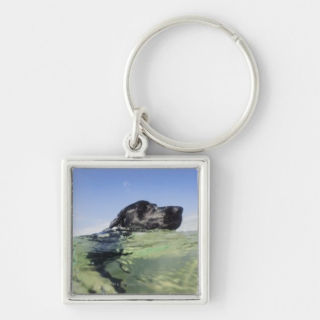 Chaveiro Natação do cão na água (Frente)