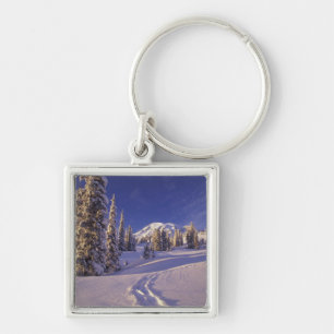 Chaveiro NE, EUA, Washington, Mt. Rainier NP, Neve profunda