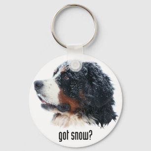 Chaveiro neve obtida? Cão de montanha de Bernese