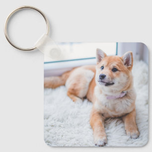 Chaveiro Nome do Cão de Pet de Fotografia Personalizado de