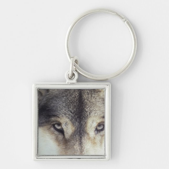 Chaveiro Nome Latin: Lúpus de Canis (Frente)