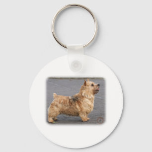 Chaveiro Norwich Terrier
