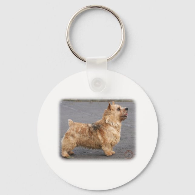 Chaveiro Norwich Terrier (Frente)