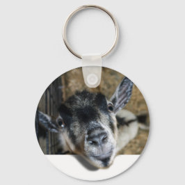 Chaveiro Nosy Goat Olhando