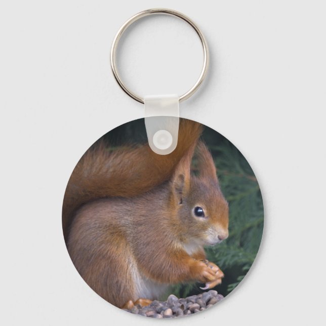 Chaveiro Nut Brunch Keyring (Frente)