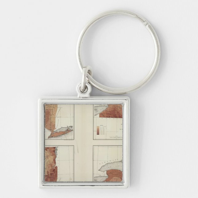 Chaveiro NY precipitação, população, elevação, temperatura (Frente)