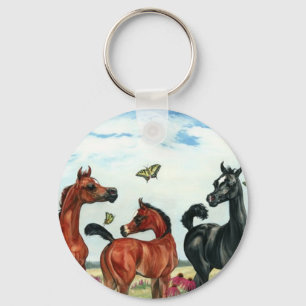 Chaveiro o arabian foals no verão