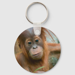 Chaveiro O bebê bonito Orangutan está hetero à frente