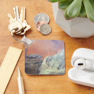 Chaveiro O Deserto Do Sara Na Argélia, Norte De África.