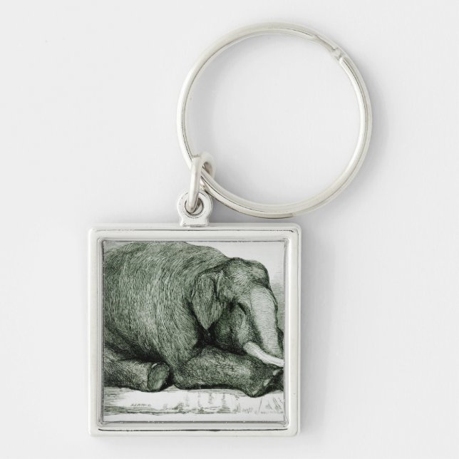 Chaveiro O elefante inoperante (Frente)