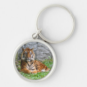 Chaveiro O gato de tigre listra a arte do animal do teste