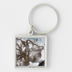 Chaveiro O gelo marinho alinha a linha costeira em Greenlan