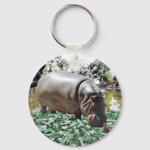 Chaveiro O Hippo E O Pássaro
