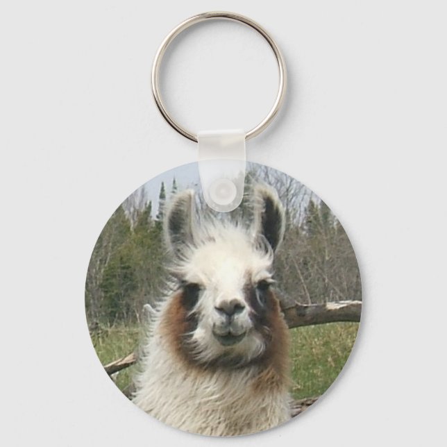 CHAVEIRO O LLAMA DIÁRIO (Frente)