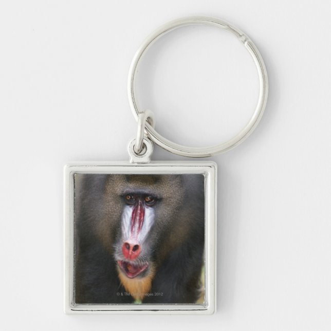 Chaveiro O mandril (esfinge do Mandrillus) fecha-se acima (Frente)