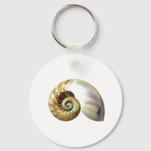Chaveiro O Nautilus Shell
