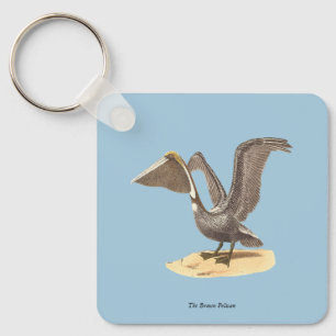 Chaveiro O Pelicano marrom (Pelecanus occidentalis) NY Bird