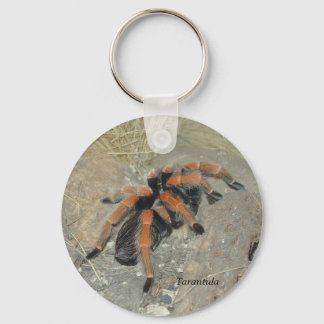 Chaveiro O Píx da Aranha, Tarantula